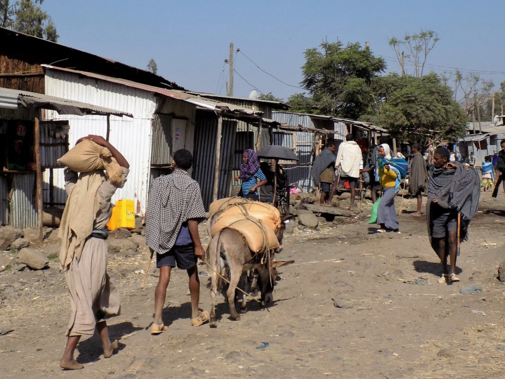 This shows the main street in the village with people and heavily-laden oxen going about their business