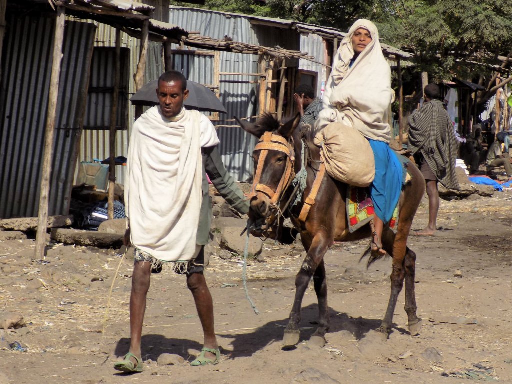 This photo shows a man leading his pregnant wife who is sitting on a donkey