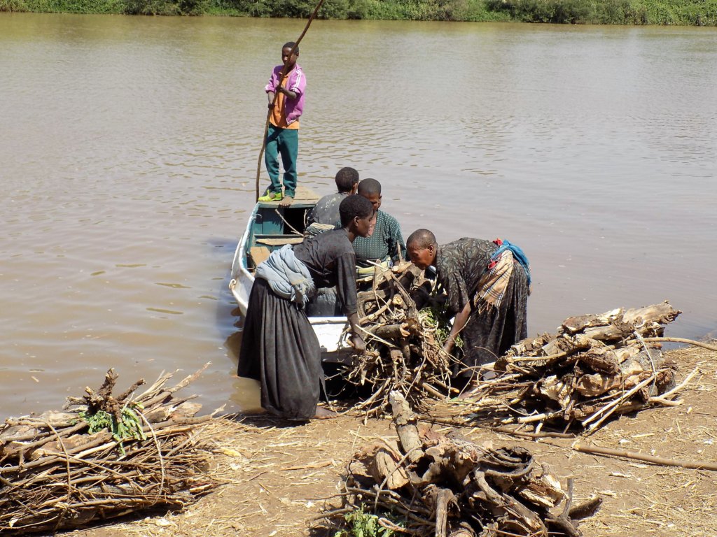 This photo shows some ladies loading bundles of logs onto a small rowing boat