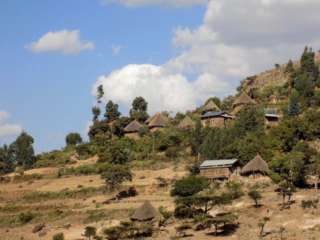 This photo shows a typical northern Ethiopian rural village with thatched-roofed round houses