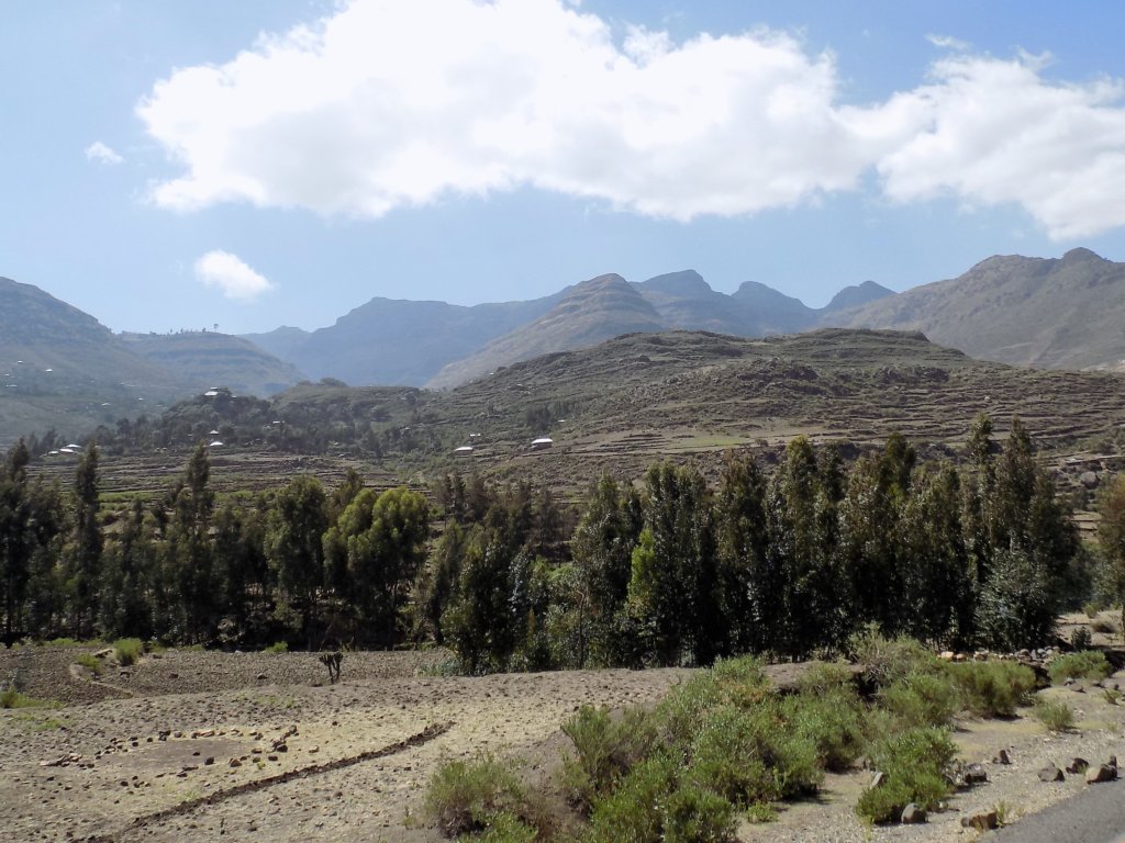 This photo shows evergreen trees in the foreground with spectacular mountains behind