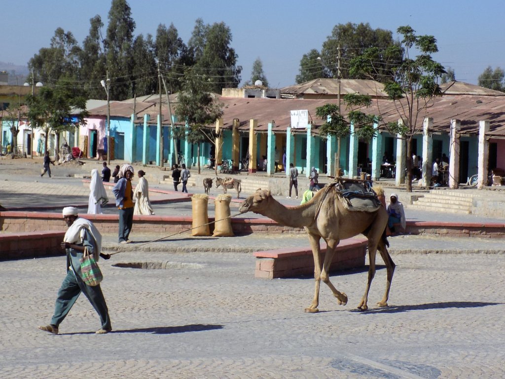 This photo shows a man in traditional dress leading his camel across the town square