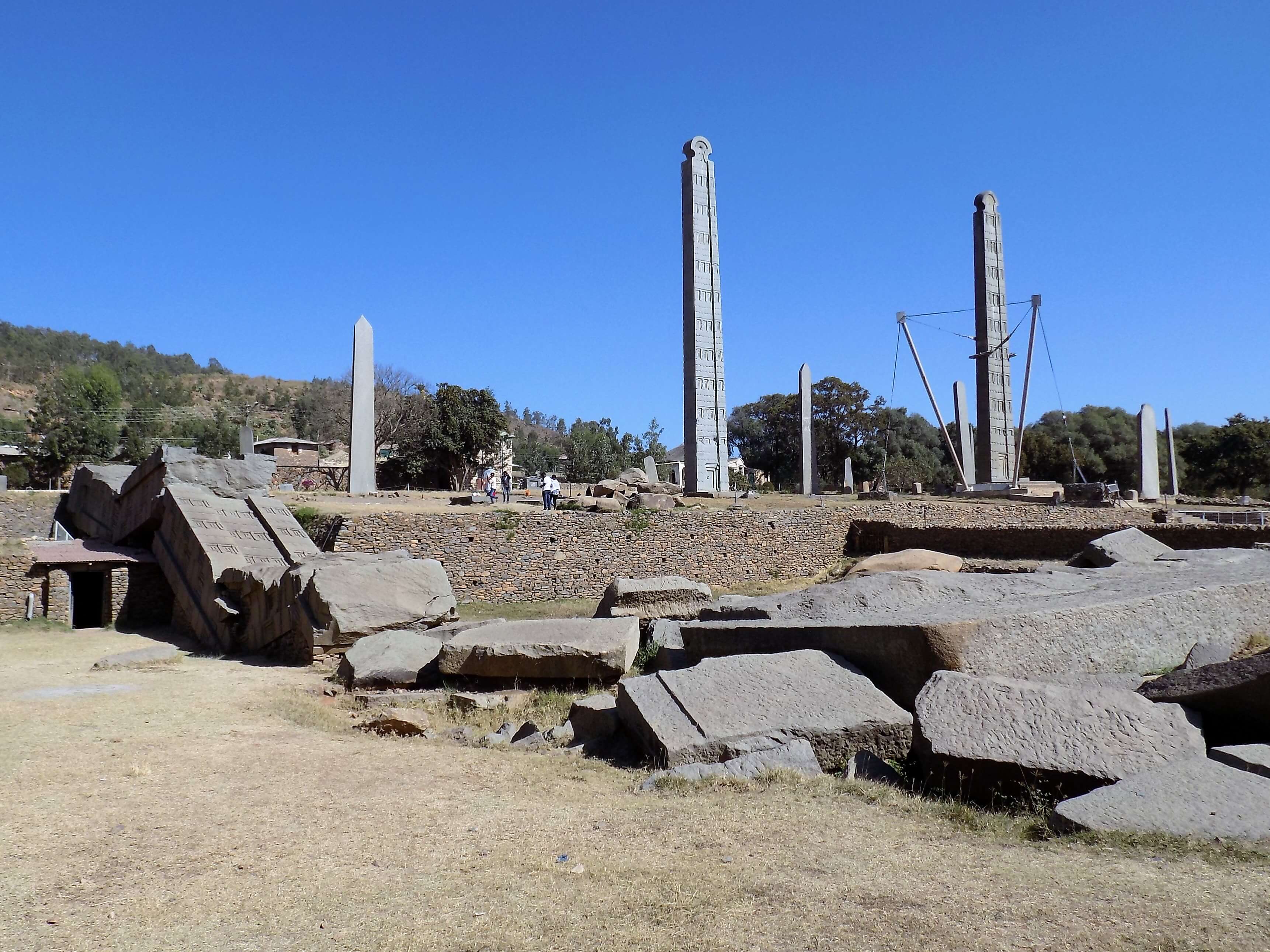 This photo shows a number of upright stelae as well as some on the ground