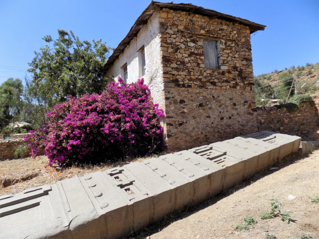 This photo shows a house with a pretty purple-flowered bush outside and a stele on the ground next to it.