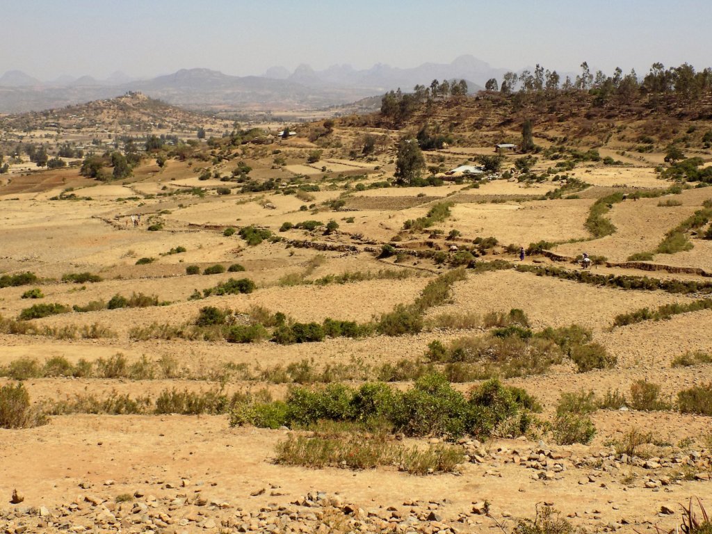 This photo shows fields with the mountains of Eritrea in the background