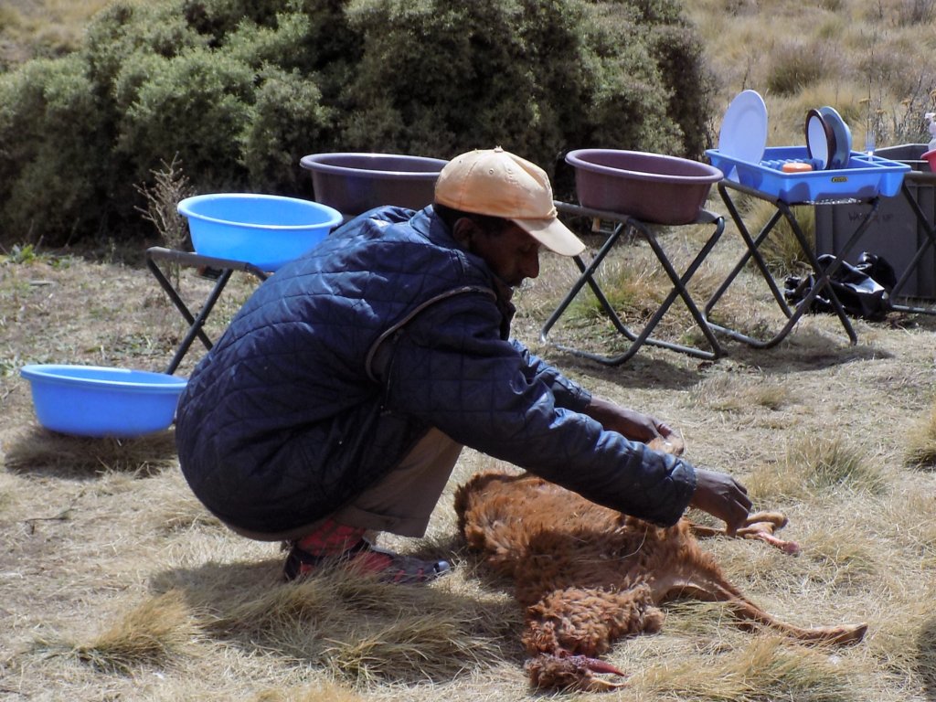 This photo shows Ali stretching the cleaned sheepskin on the ground to dry it.