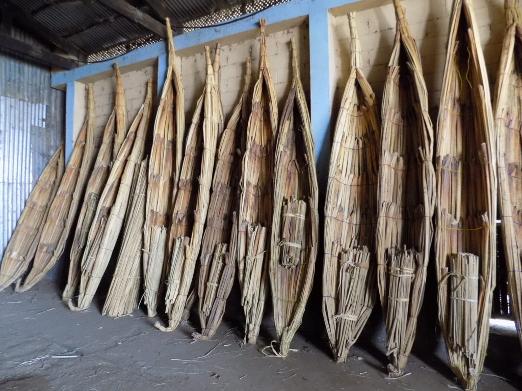 This photo shows a number of canoe-type boats made of papyrus standing upright and leaning against the wall of a boatshed