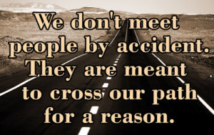 This picture shows a quote - 'We don't meet people by accident. They are meant to cross our path for a reason.'