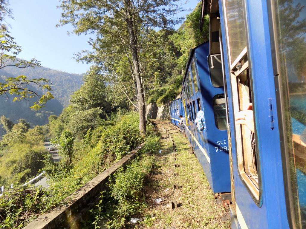 This photo shows the blue carriages of our train set against the lush green trees of the surrounding countryside