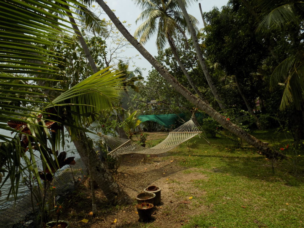 This photo shows a lake-side garden with hammocks strung between the trees