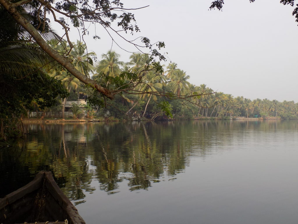 This picture shows very still water with trees reflected in it