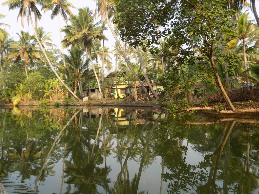 This photo shows the calm backwater with the trees reflected in its surface