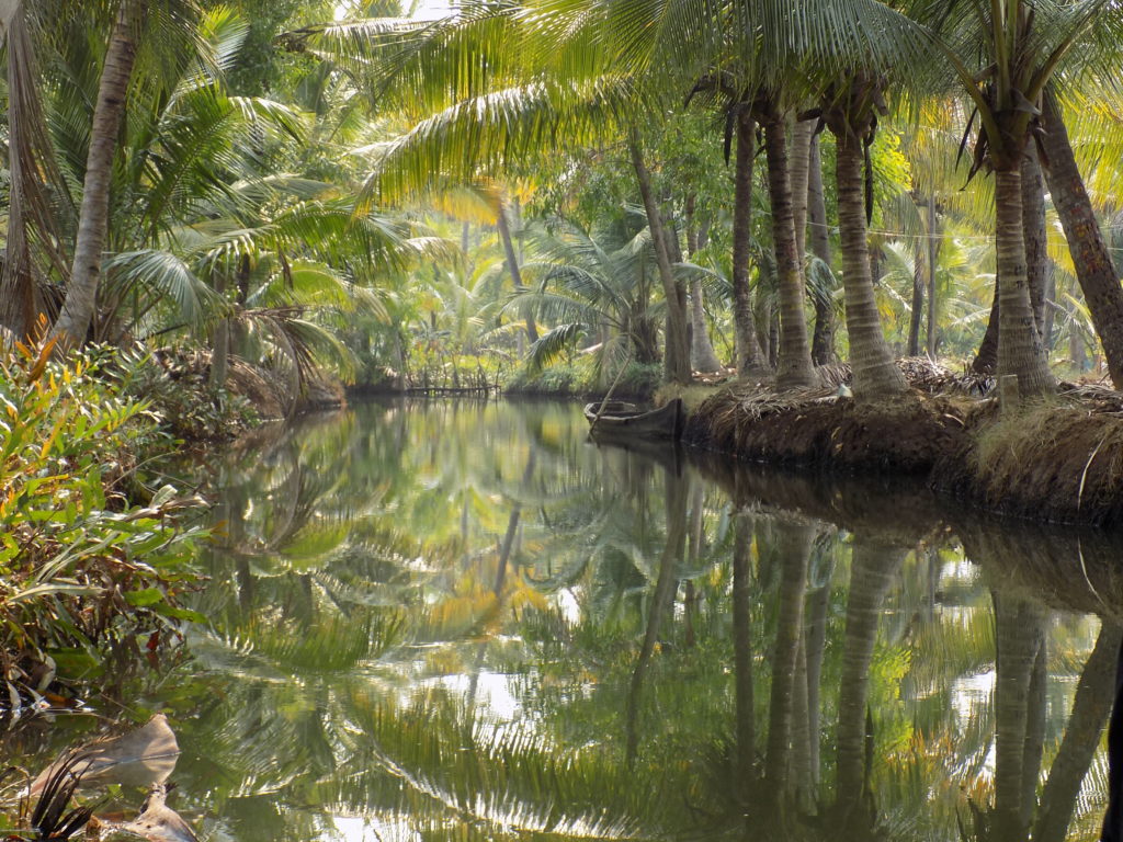 This photo shows the calm backwater with the trees reflected in its surface