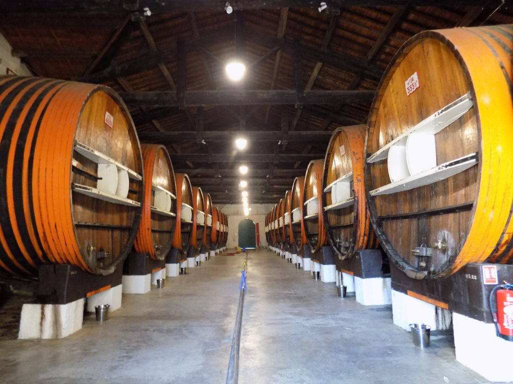 This photo shows two rows of massive barrels containing vermouth