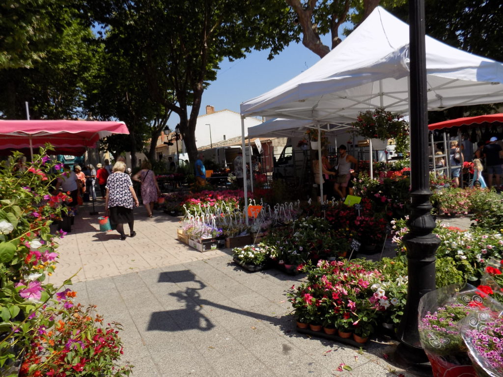 This photo shows several colourful stalls in Marseillan's vibrant flower market.