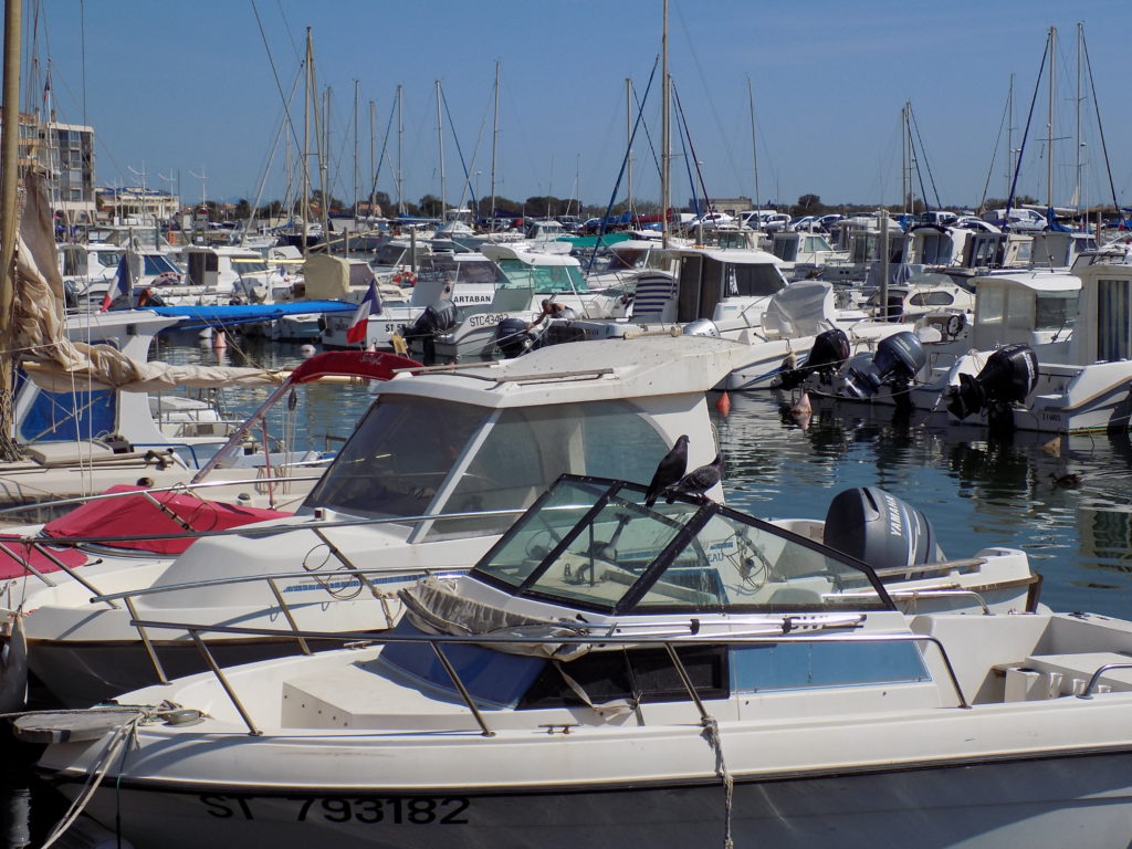 This photo shows numerous boats in Valras harbour