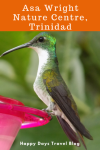 A visit to the Asa Wright Centre in #Trinidad. Click to read the full article. #Caribbean #nature #birds