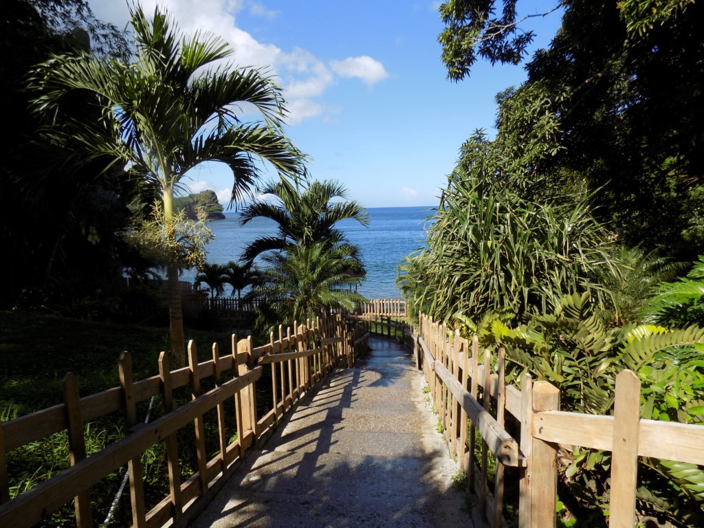 An image of the wooden-fenced steps leading down to Macqueripe Bay, Trinidad.