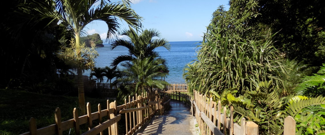 An image of the wooden-fenced steps leading down to Macqueripe Bay, Trinidad.