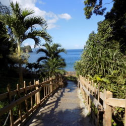 An image of the wooden-fenced steps leading down to Macqueripe Bay, Trinidad.