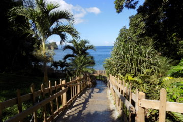 An image of the wooden-fenced steps leading down to Macqueripe Bay, Trinidad.