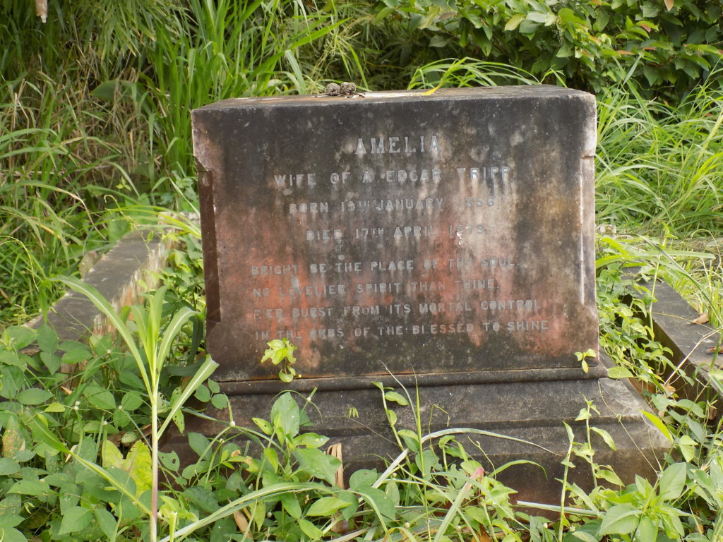This image shows the tomb of Amelia Tripp, St. Chad's Church, Mount St. Pleasant Village, Trinidad. 
