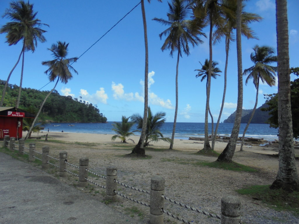 A picture showing the fishermen's end of Maracas Beach with tall palm trees fringing the shore