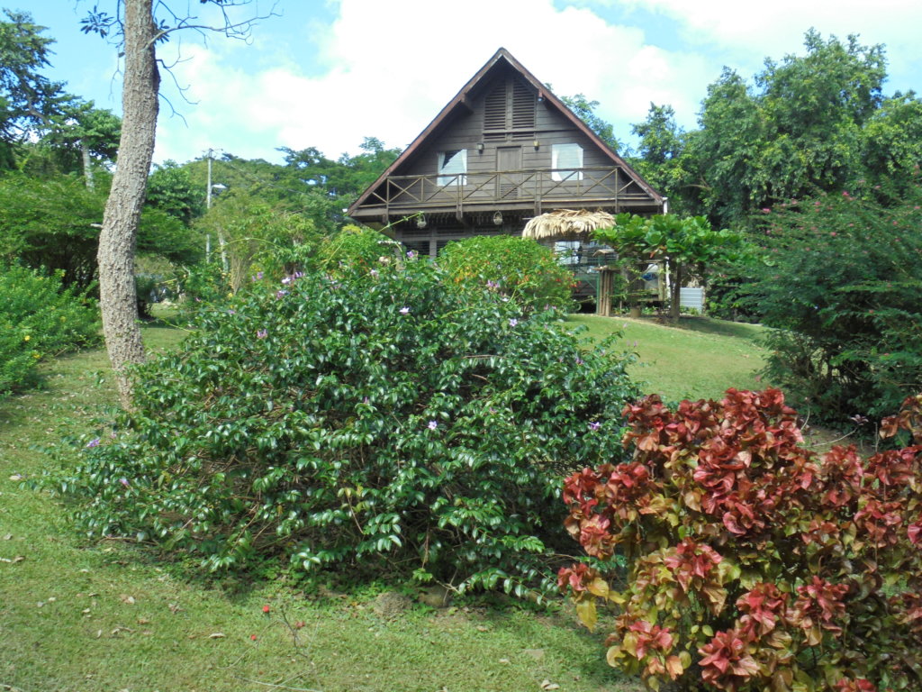 This picture shows the reception and education building of the Pointe-a-Pierre Wildfowl Trust. It is a wooden built building and it has landscaped gardens in front of it.