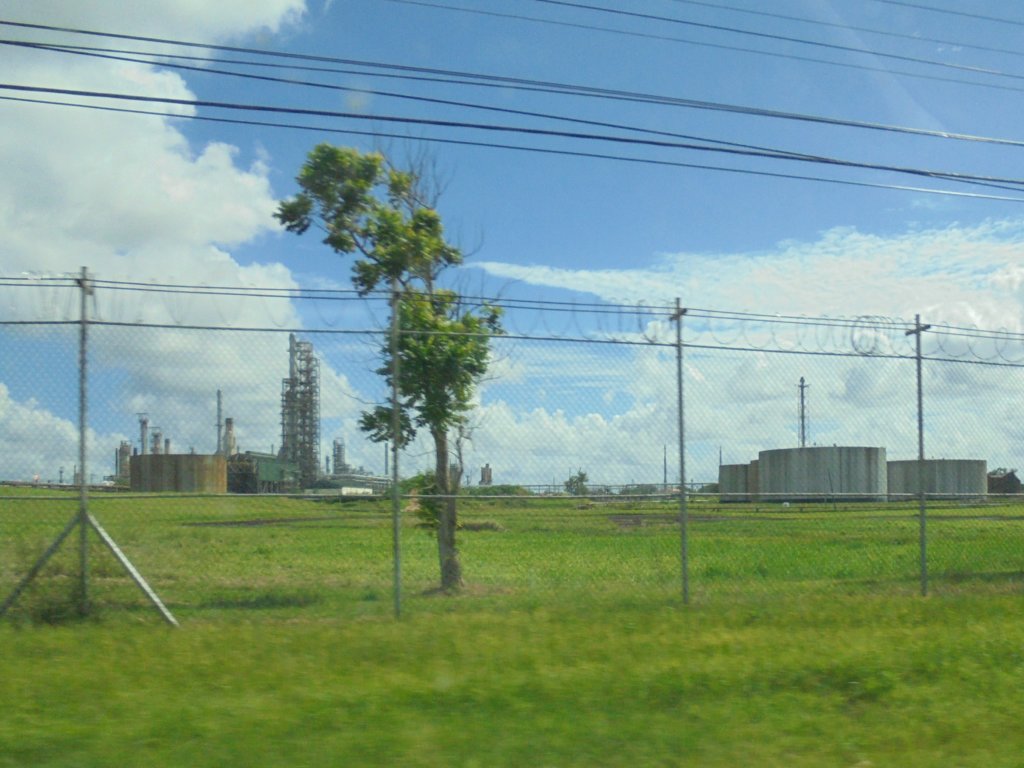 This is a photo of the perimeter fence of the Petrotrin Oil and Gas Company. We had to gain access to the plant in order to visit the Pointe-a-Pierre Wildfowl Trust