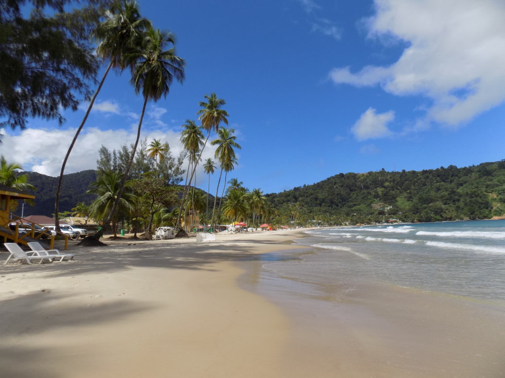 This photo shows the unspoiled beach of Maracas Bay, Trinidad, fringed with tall Palm trees and framed by a clear blue sky