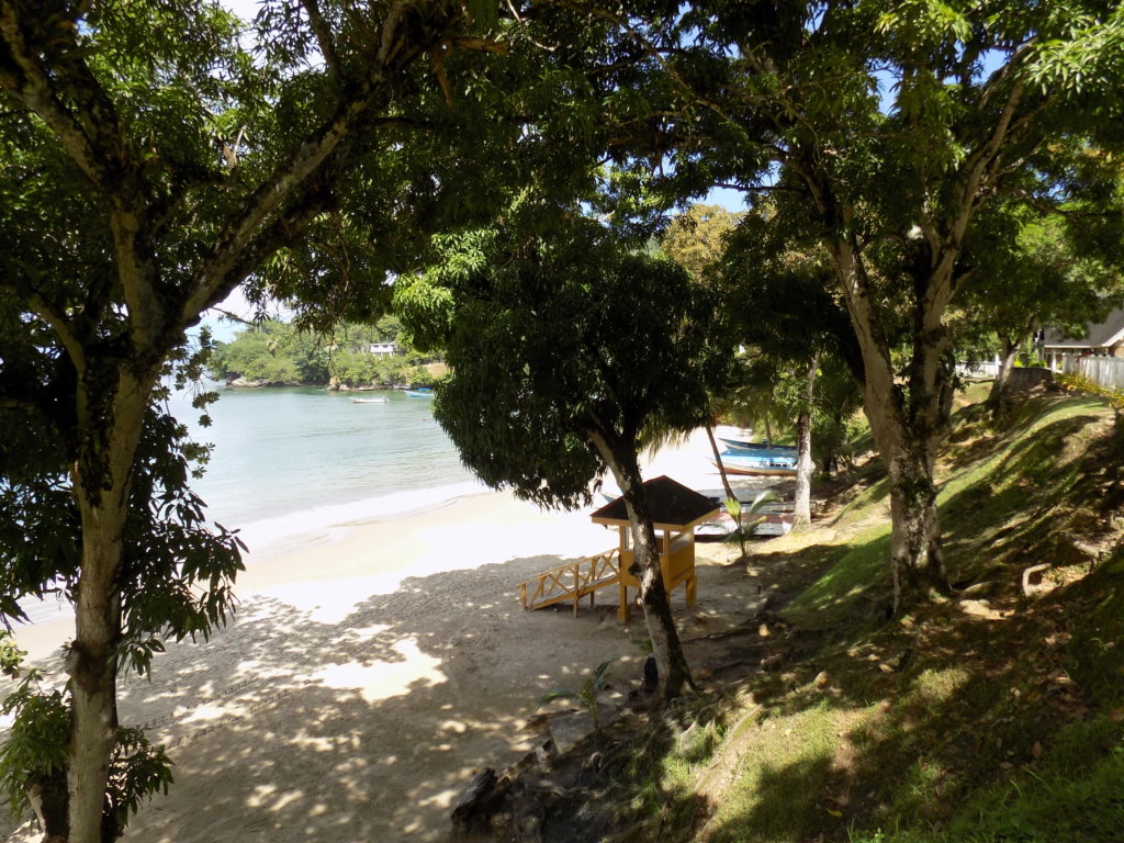 A photograph of Las Cuevas Beach, Trinidad glimpsed through the trees