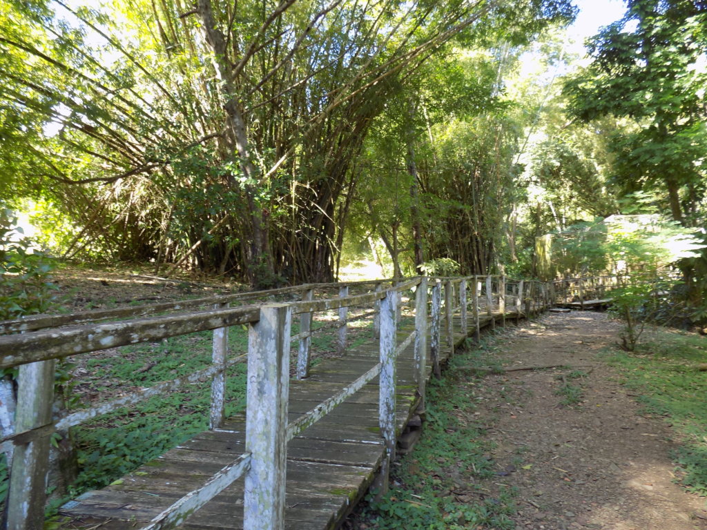 This picture shows wooden walkways surrounding one of the lakes at Pointe-a-Pierre Wildfowl Trust, Trinidad