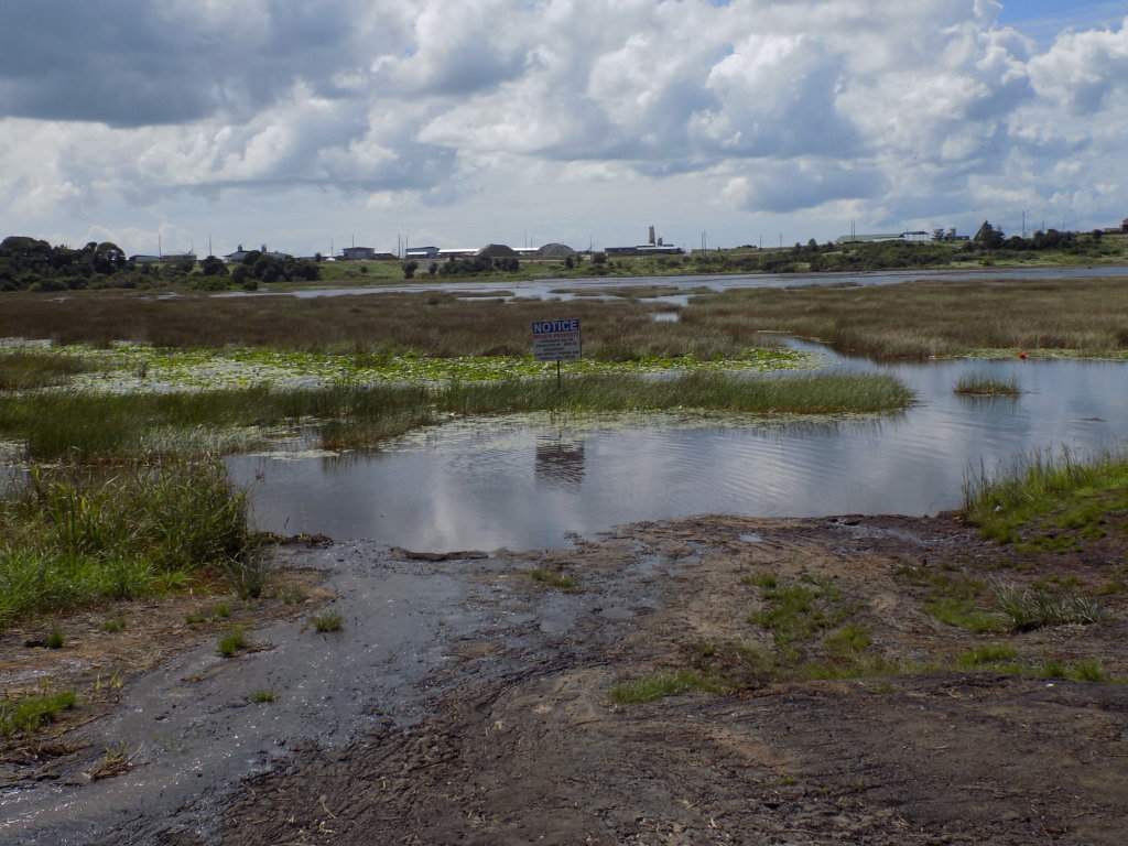 This picture shows Pitch Lake, Trinidad