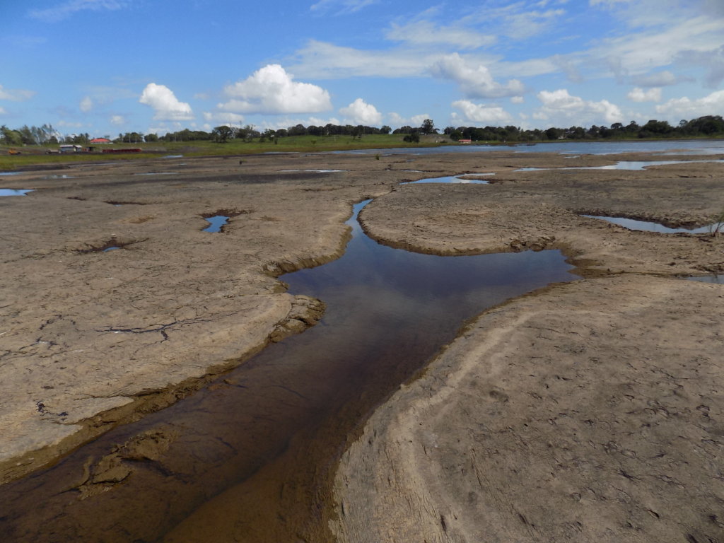 This photo shows the spongy surface of Pitch Lake which, in places, was too soft to bear a person'sweight