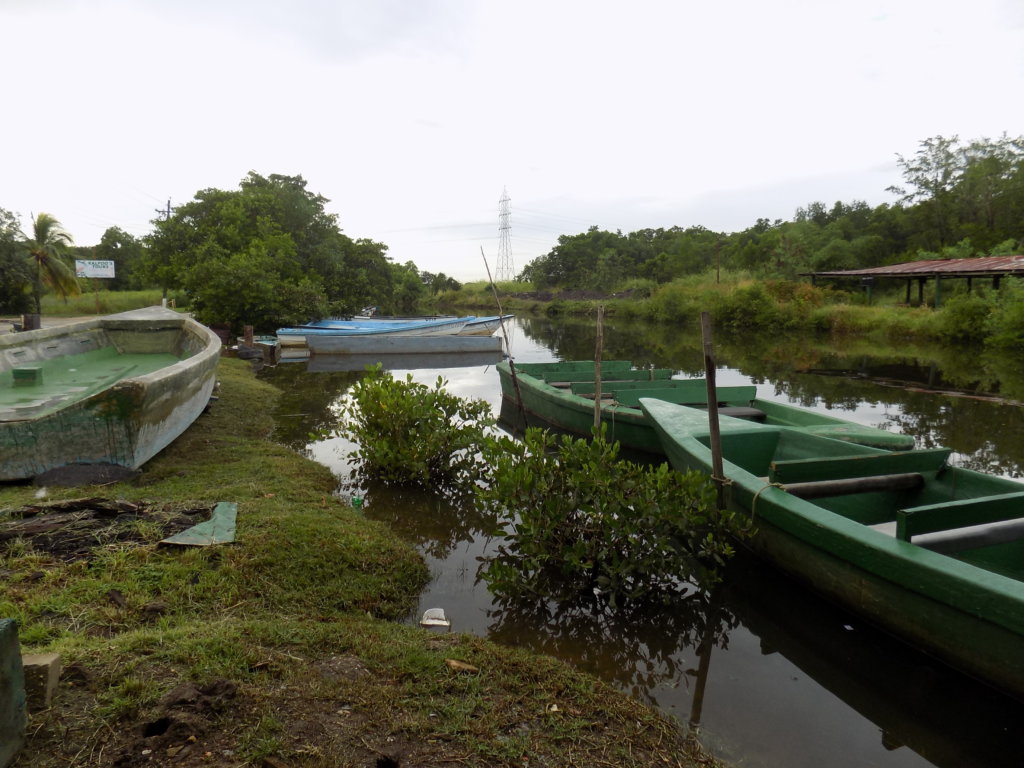 This photo shows the boats before we started our tour of Caroni Swamp