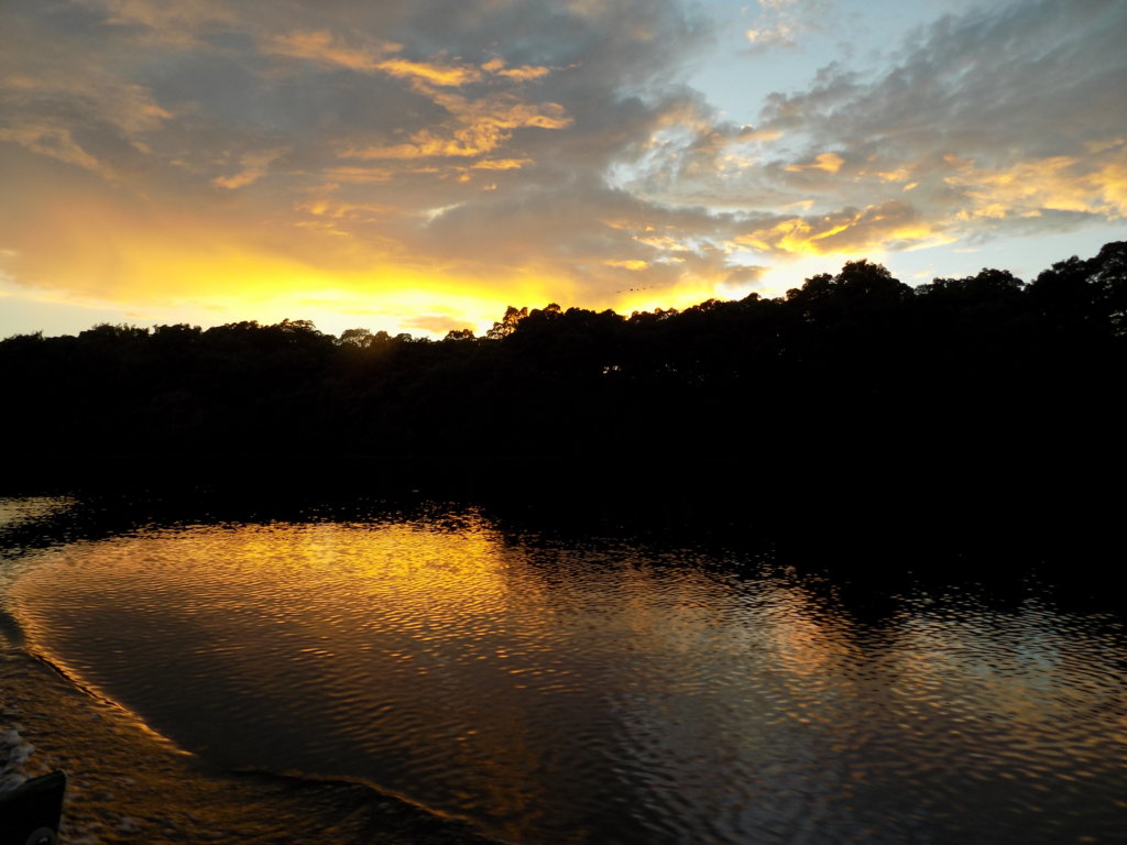 This photo shows the sun setting over Caroni Swamp
