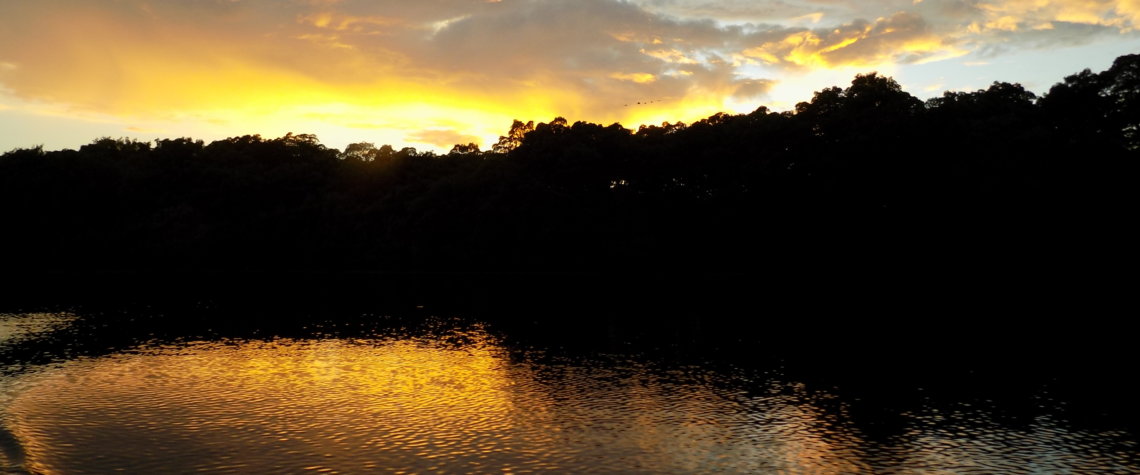 This photo shows the sun setting over Caroni Swamp