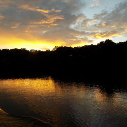 This photo shows the sun setting over Caroni Swamp