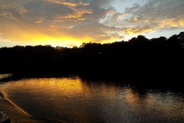 This photo shows the sun setting over Caroni Swamp