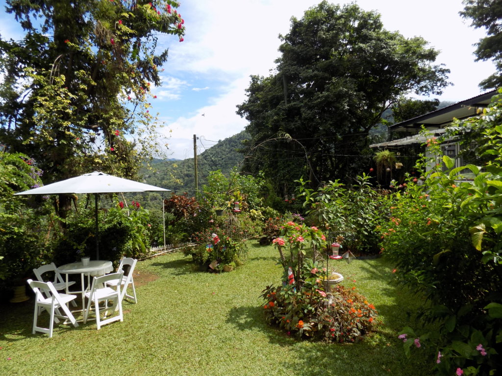 This photo shows a view of the garden at Yerette with a white table and chairs shaded with a parasol and lots of colourful plants and flowers.