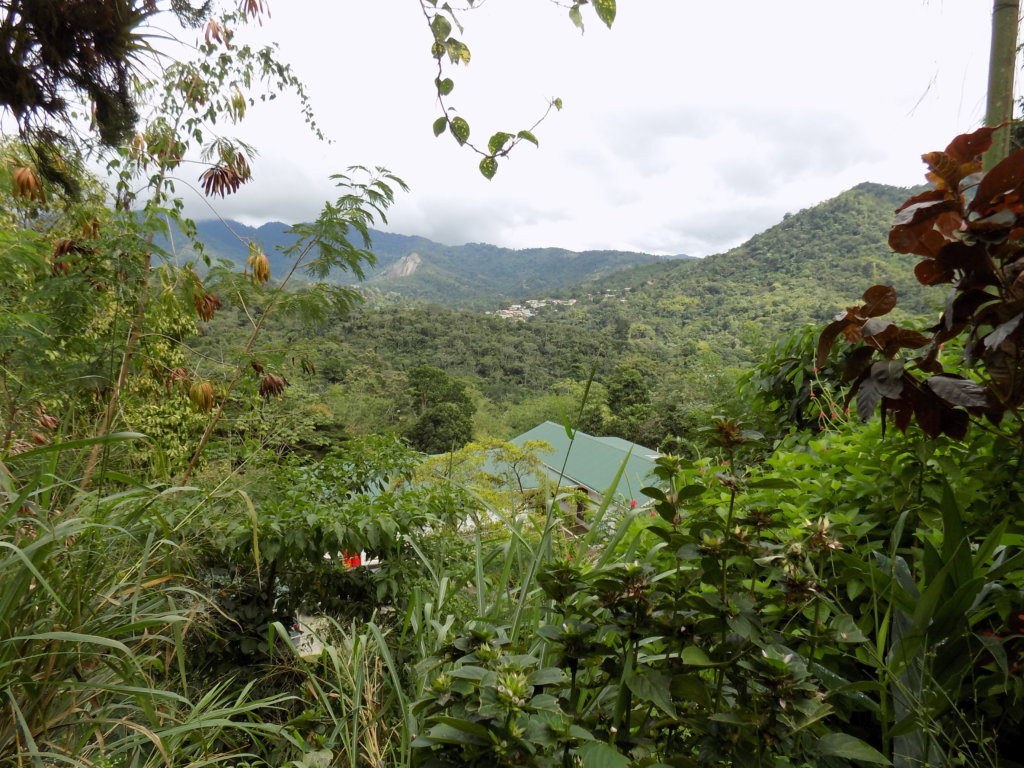 This picture shows the view of maracas Valley from Yerette