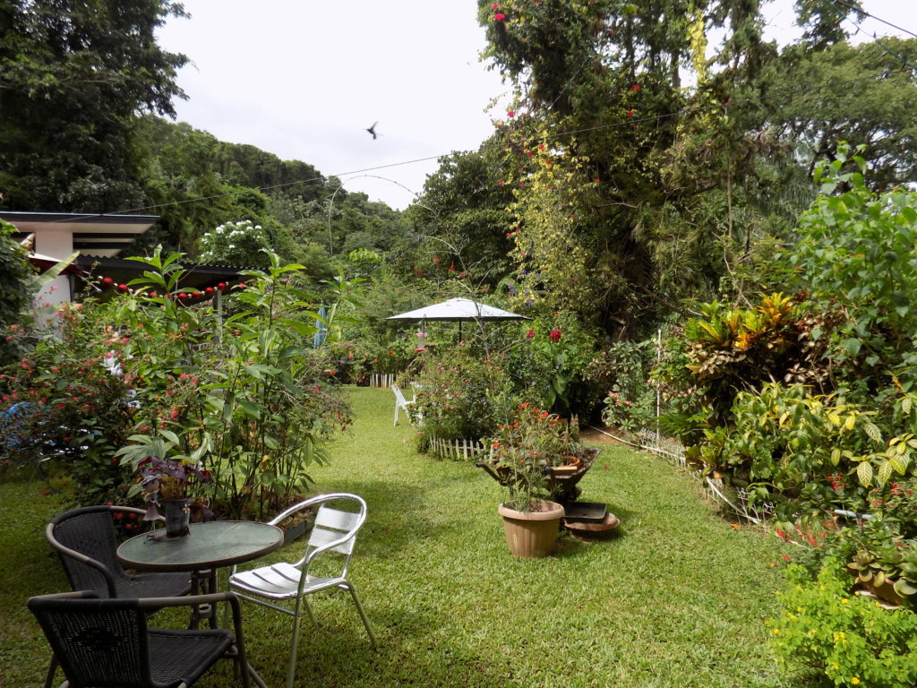This picture shows the lush garden at Yerette