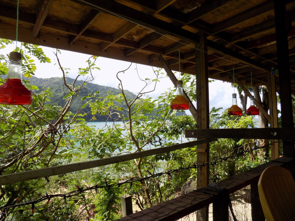This picture shows four of Mark's home-made hummingbird feeders hanging on our deck