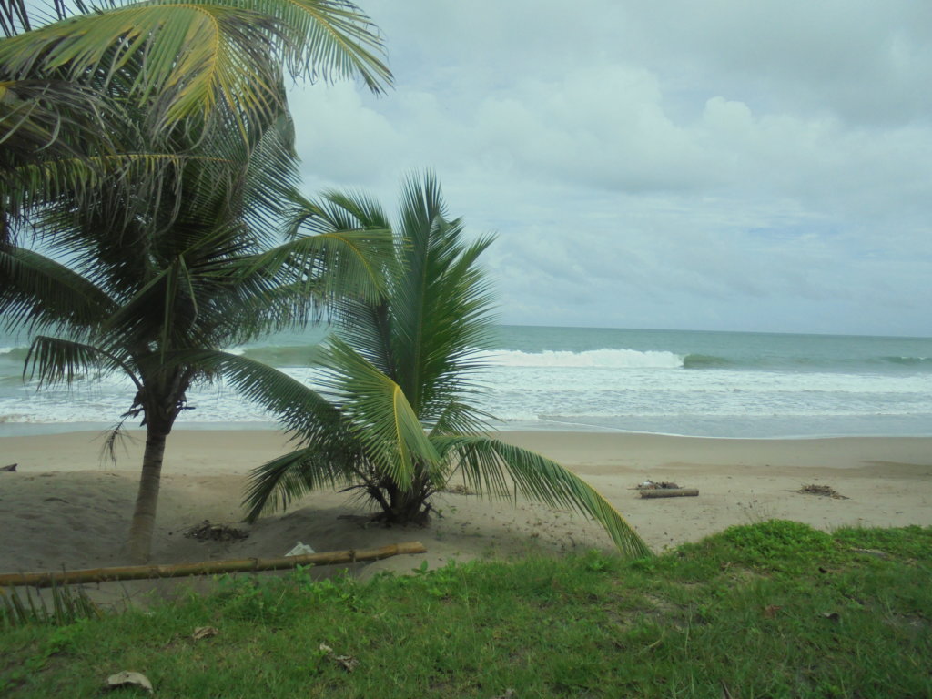 This photo shows a windswept, desolate beach on a grey day in Trinidad!