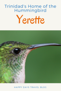 Hummingbirds are fascinating creatures! There is no better place to learn about them than at Yerette, #Trinidad. Click to find out more. #Caribbean #travel #hummingbirds