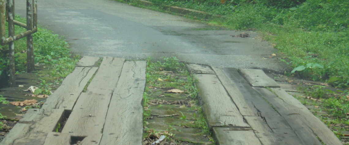 This picture shows a road in Trinidad where the tarmac had run out and had been replaced with wooden planks laid over the bare earth!