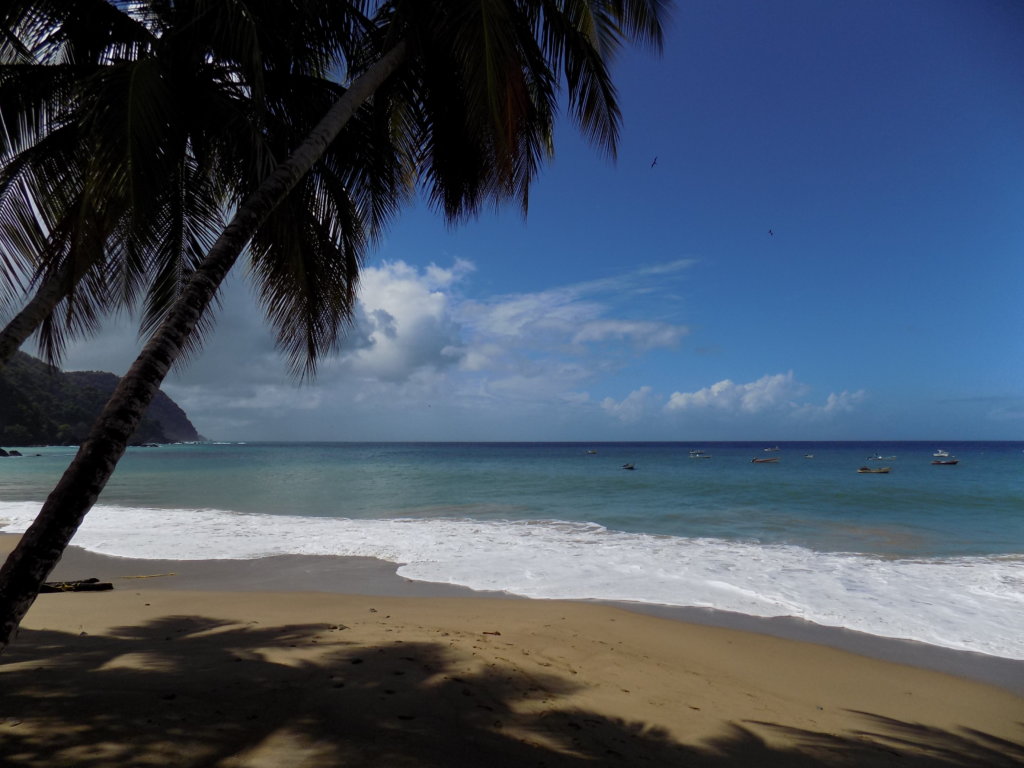 This photo shows the white sandy beach and azure blue Caribbean Sea at Big Bay, Castara. There is a palm tree casting its shadow over the beach.