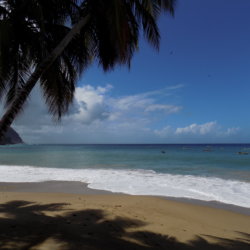 This photo shows the white sandy beach and azure blue Caribbean Sea at Big Bay, Castara. There is a palm tree casting its shadow over the beach.