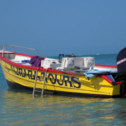 This photo shows Ali Baba Tours' boat