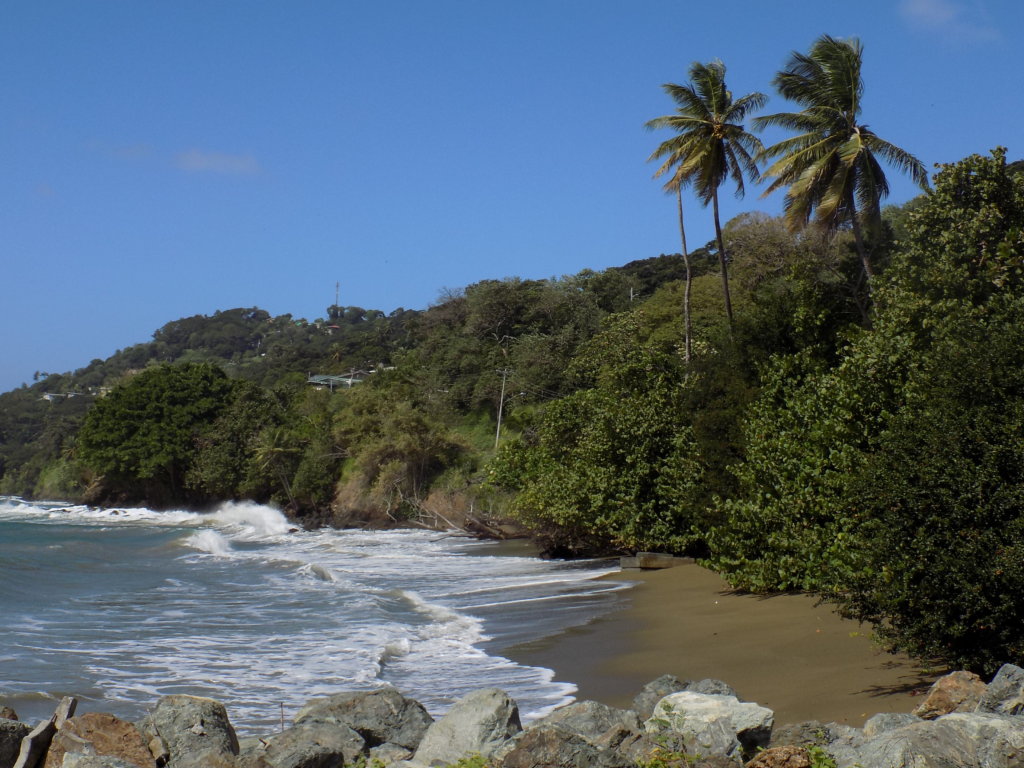 This photo shows the beach at Studeley Park